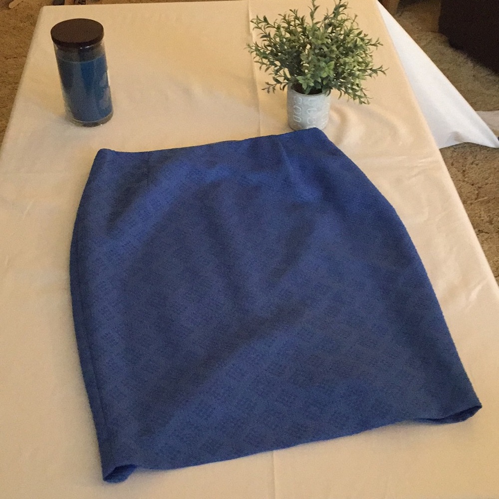 Limited Periwinkle Skirt
